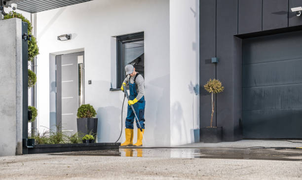 Best Pre-Holiday Cleaning  in Scobey, MT